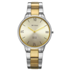 Titan Edge Gleam Silver Women's Watch 2734BM01
