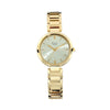 Titan Raga Viva Champagne Women's Watch NM2608YM01