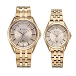 Titan Modern Bandhan Pair Rose Gold Couples Watch 9401594215WM01