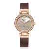 Alexandre Christie Classic Brown Women's Watch 2754LHBROMO