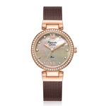 Alexandre Christie Classic Brown Women's Watch 2754LHBROMO