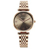 Titan Workmode Grey Women's Watch 95313WM01