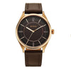 Titan Neo Basics II Brown Men's Watch 1802WL03