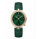 Daniel Wellington Iconic Green Women's Watch DW0DL2400