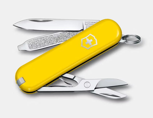 Swiss 0.6223.8G SD Classic Colors