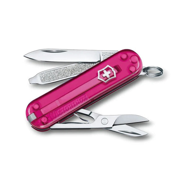 Victorinox Swiss Army Knife 0.6223.T5G