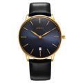 Nebula NT5064DL07 Gold Mens Watch