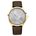 Nebula NT5067DL03 Mens Watch