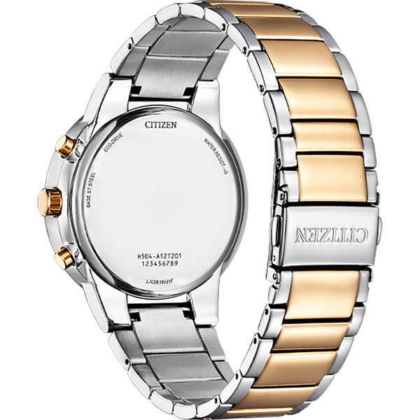 Citizen Elegant AT2244-84L Watch