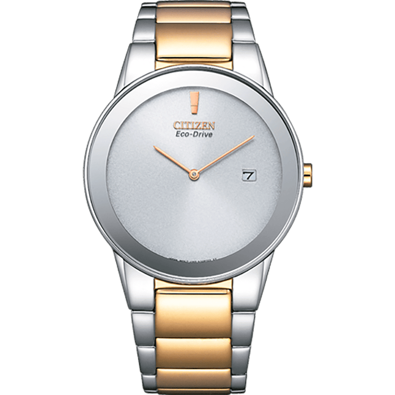 Citizen AU1064-85A Stylish Watch