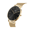 Classic Mesh Gold Case With Black Dial Watch DW00100631K