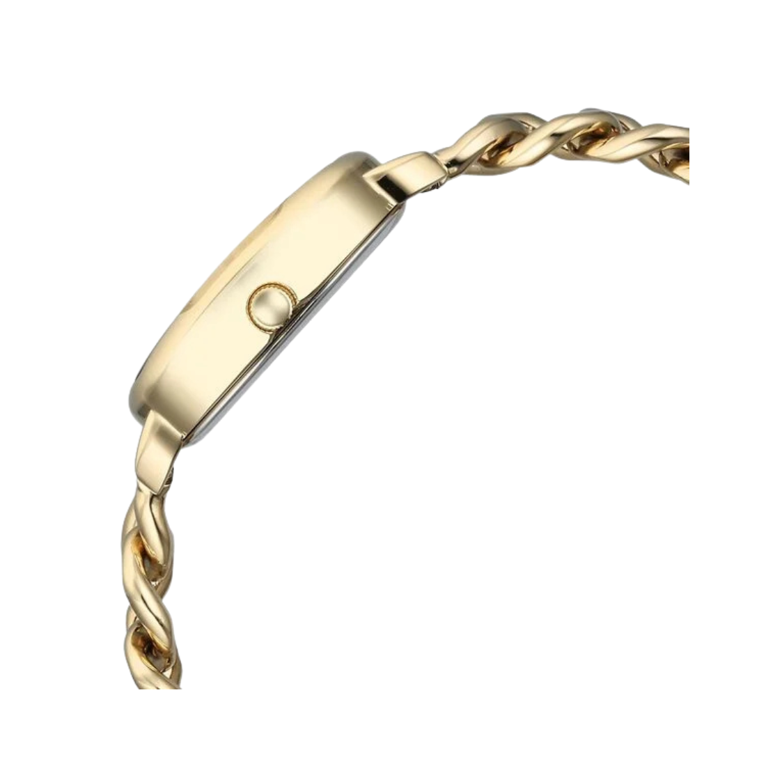 Titan Raga Showstopper Golden Case With Silver Dial Womens Watch 95309YM01