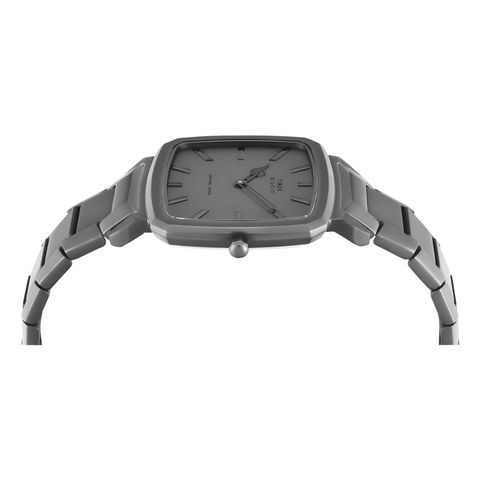 TIMEX Signio Grey Men Watch TWEG34102
