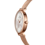 Daniel Wellington Classic Petite Rose Gold Women's Watch DW0DL3300