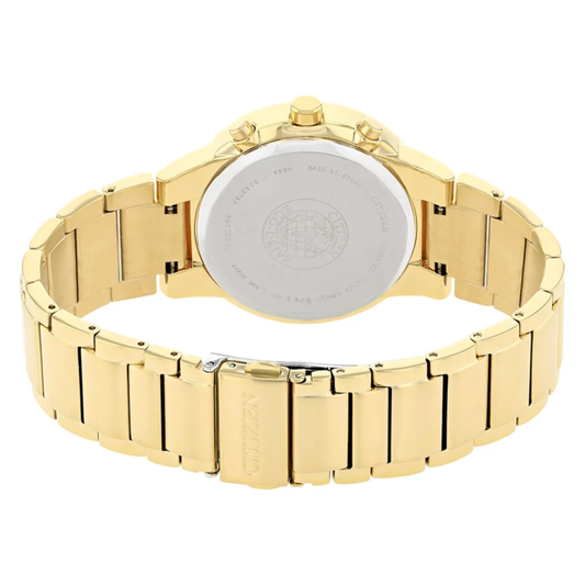 Citizen Stainless Steel Gold Men's Watch AT2242-55E