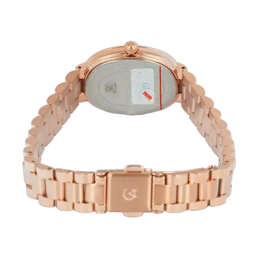 Alexandre Christie Classic Rose Gold Women's Watch 2C09LHBRGLN