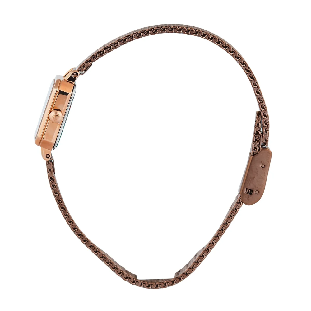 Alexandre Christie Classic Brown Women's Watch 2B36LHBROBO