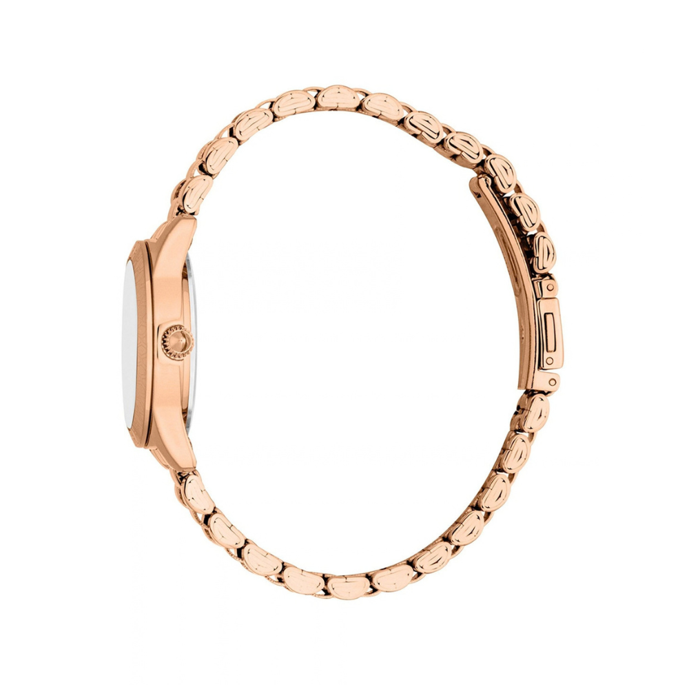 Just Cavalli Eterna Silver Women's Watch JC1L359M0075