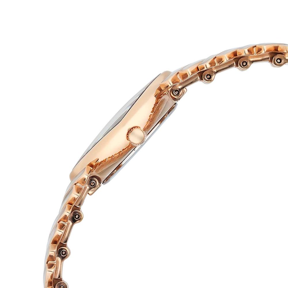 Titan Raga Chic Glam Natural White M.O.P + MOP Minute Ring Dial Rose Gold Women's Watch 95393WM03