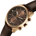 Sonata Magna Brown Dial Men's Watch 7155WL01