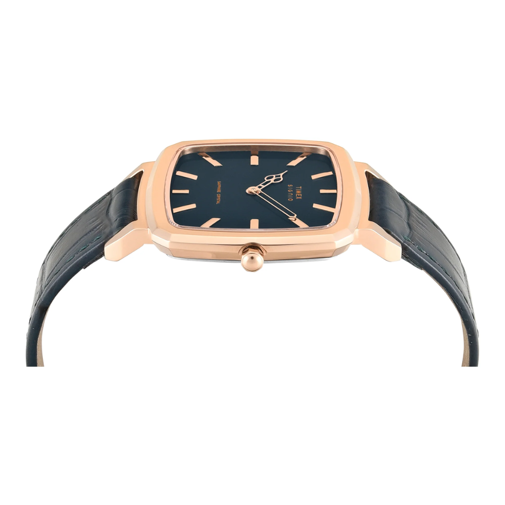 Timex Signio Green Dial Men Watch TWEG34100