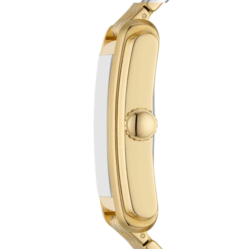 Fossil Carraway Gold Men's Watch FS6009