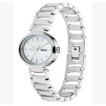 Titan Viva Silver Women's Watch 2620SM01
