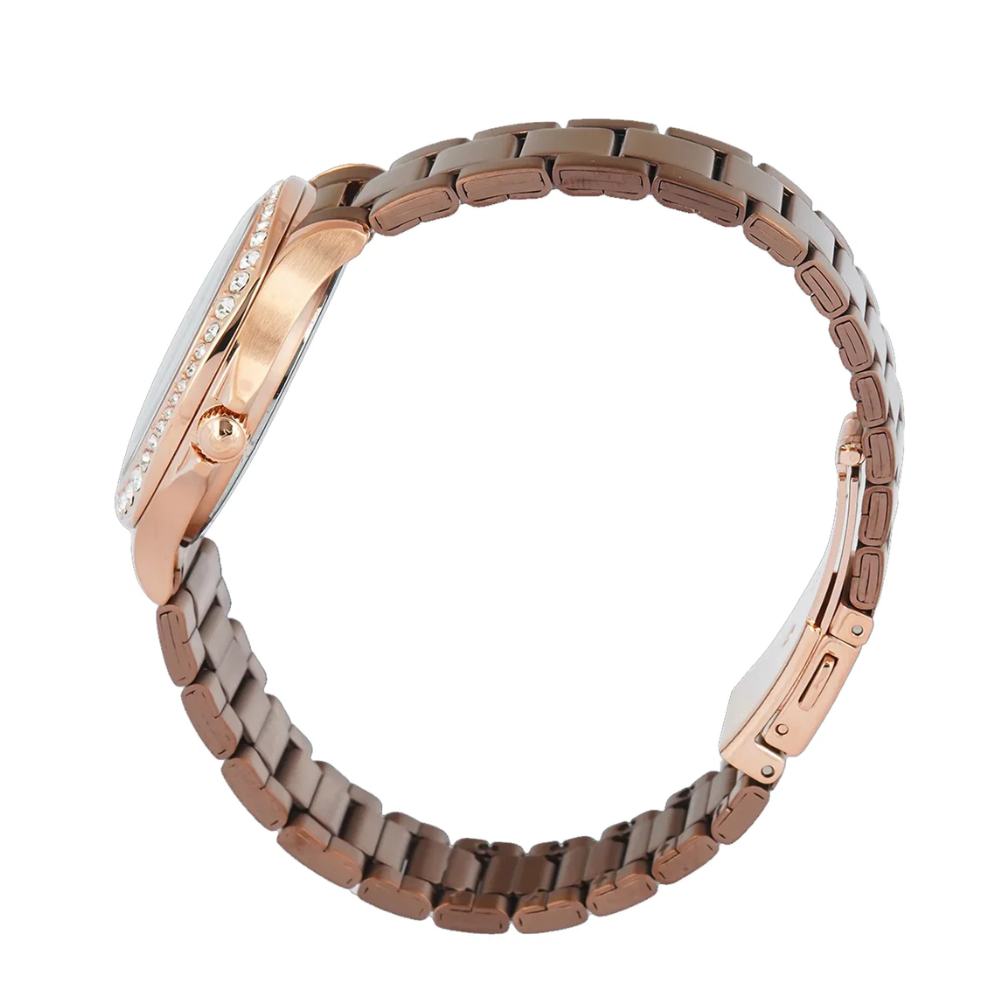 Alexandre Christie 2B85BFBROBO Brown Women's Watch 2B85BFBROBO