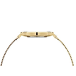Daniel Wellington Petite Evergold White Women’s Watch DW00100350K