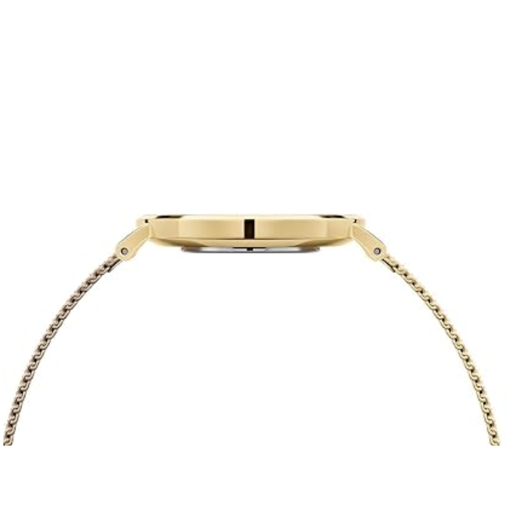 Daniel Wellington Petite Evergold White Women’s Watch DW00100350K