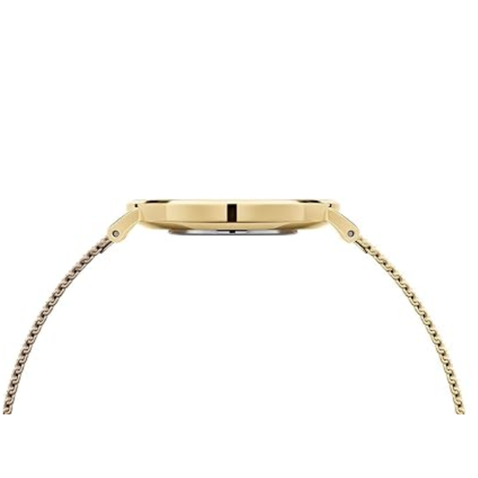 Daniel Wellington Petite Evergold White Women’s Watch DW00100350K