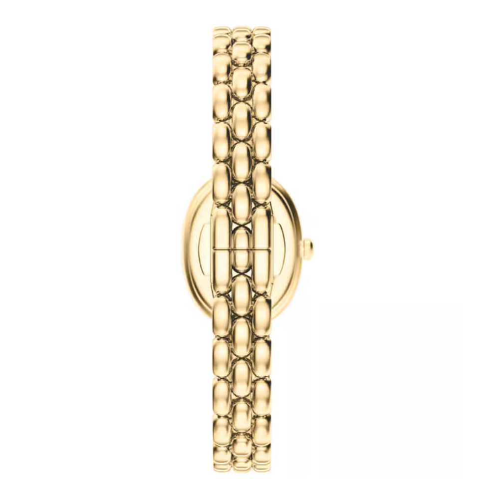 Emporio Armani Mother Of Pearl Dial Women's Analogue Watch AR11777