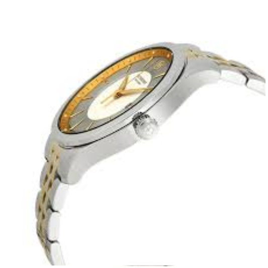 Victorinox Alliance Silver Men's Watch 241803