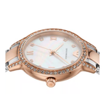 Emporio Armani Cleo Mother Of Pearl Dial Analog Women's Watch AR11499