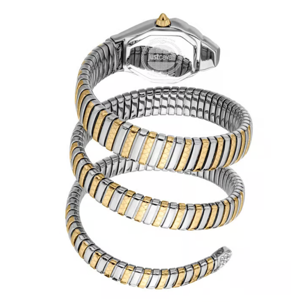 Just Cavalli Ambra Silver Women's Watch JC1L370M0055