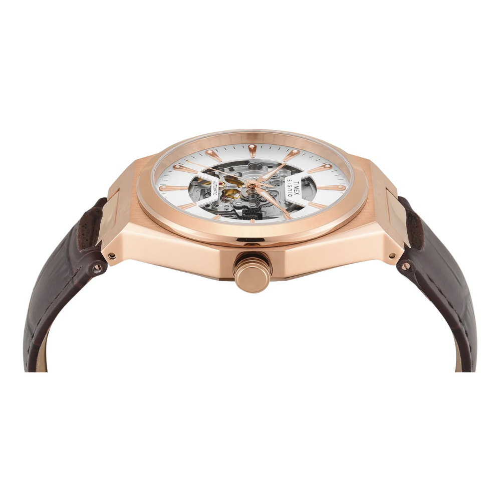 Timex Signio Silver Men Watch TWEG33900
