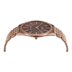 Timex Signio Brown Men Watch TWEG34202