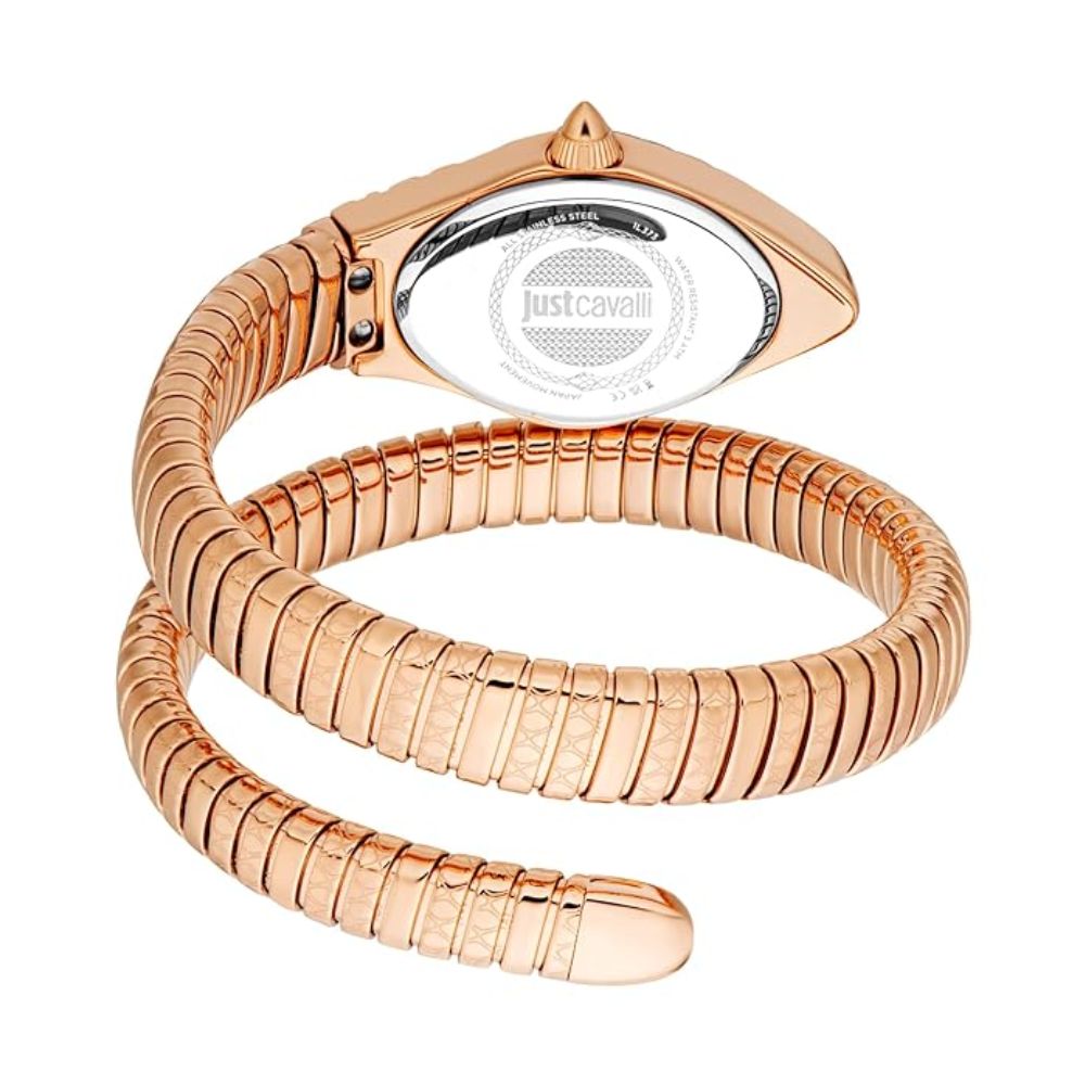Just Cavalli Vetra Silver Dial Women's Watch JC1L373M1045