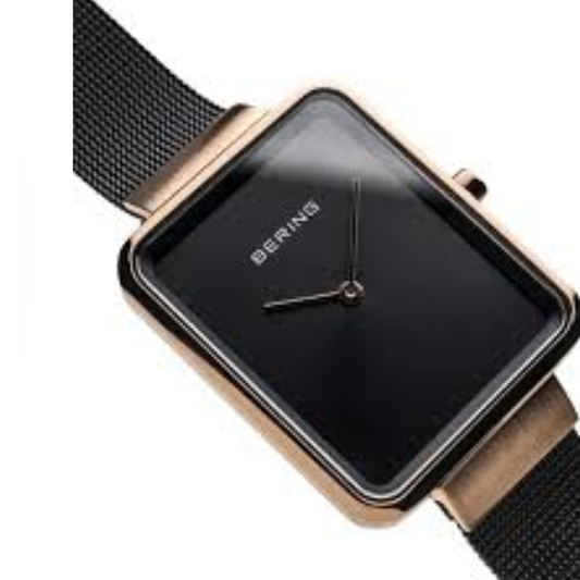 BERING Classic Black Women's Watch 14528-166