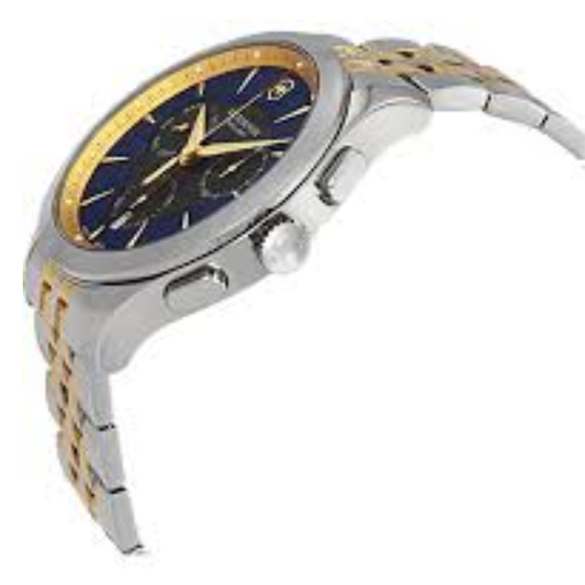 VICTORINOX Alliance Chronograph Blue Men Watch 249118