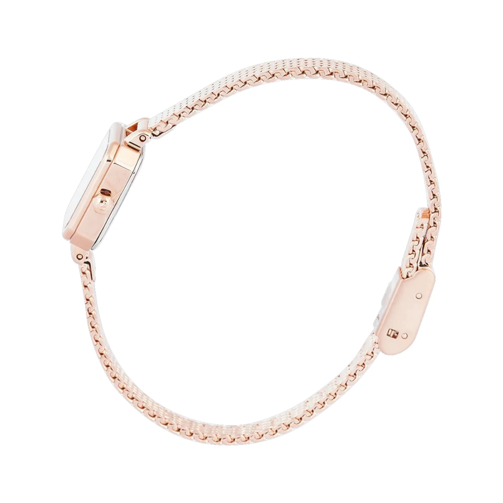 Alexandre Christie Classic Rose Gold Women's Watch 2B36LHBRGGN