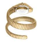 Just Cavalli Aria Silver Dial Women's Watch JC1L369M0035