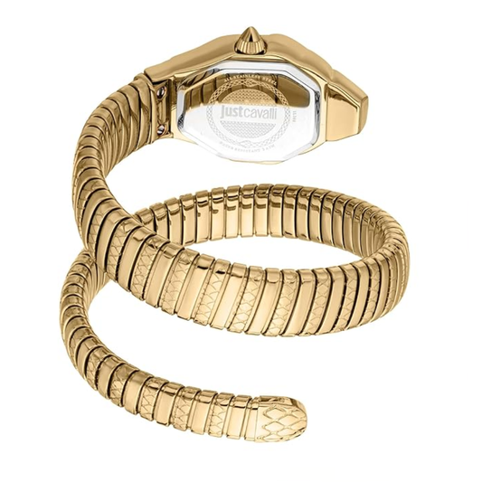 Just Cavalli Aria Silver Dial Women's Watch JC1L369M0035