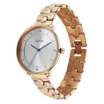 Titan Workwear Grey Dial Women's Watch 2651WM11