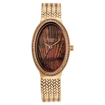 Titan Raga Glimmers Brown Dial Women's Watch 95338WM01