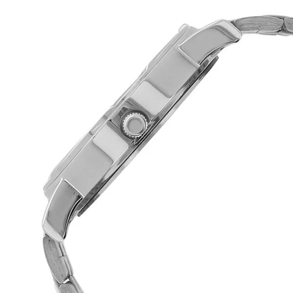 Titan Karishma Silver Mens Watch 1639SM01