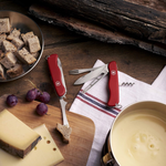 Victorinox Cheese Master Red Knife 0.8313.W
