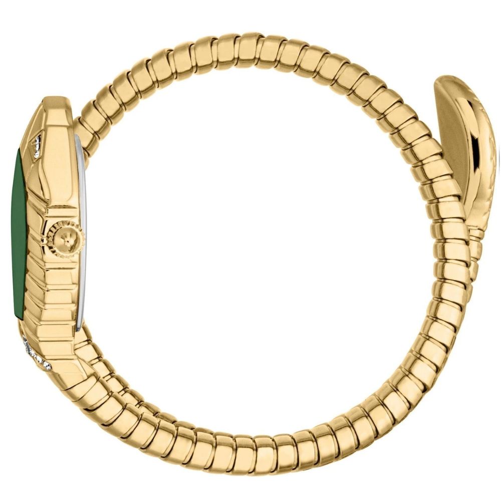 Just Cavalli Speranza Green Women's Watch JC1L356M0035