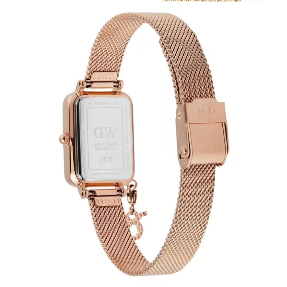 Daniel Wellington Analog Women Watch DW00100748K