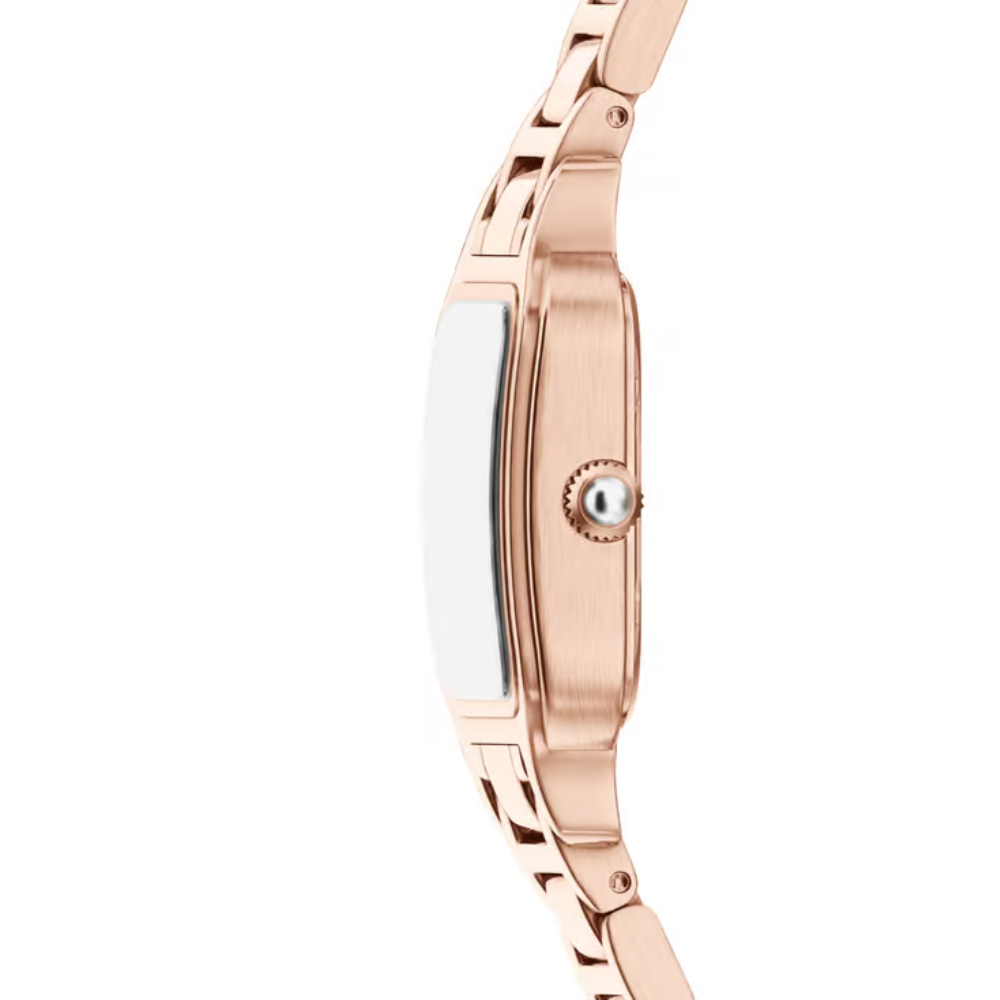 Emporio Armani Mother Of Pearl Dial Women's Watch AR11743